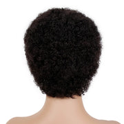 Afro Wigs Human Hair Wigs Classic Cap Wigs