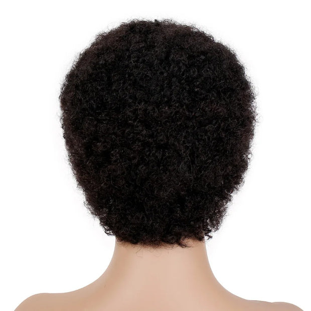 Afro Wigs Human Hair Wigs Classic Cap Wigs