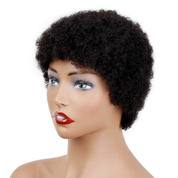 Afro Wigs Human Hair Wigs Classic Cap Wigs