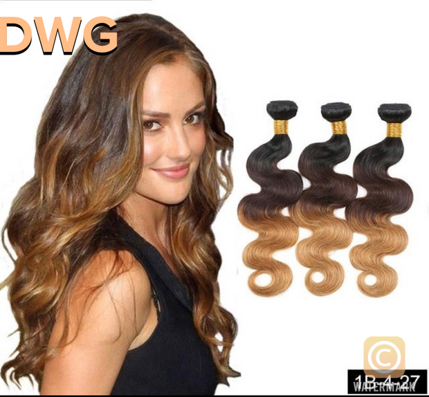 DWG Brazilian Body Wave Ombre Hair 1/3/4 Bundles