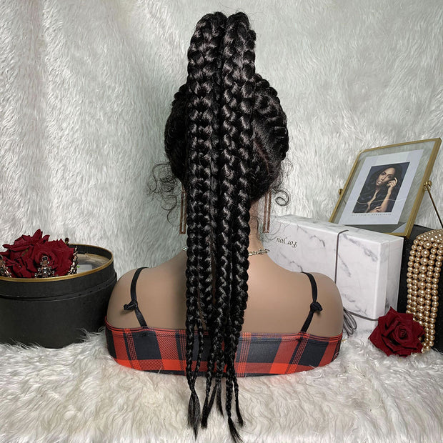 Braided 360 Lace Frontal Wigs